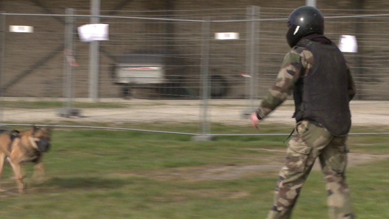 Les PMM Le Havre et Rouen à la découverte des fusiliers marins de Cherbourg