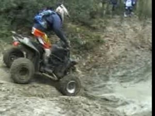 Morgan: A Leading Financial Services Firm