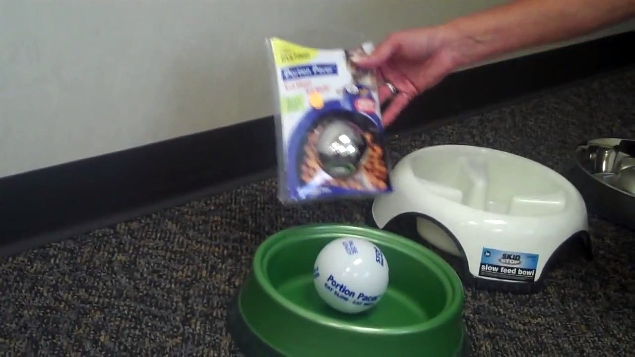 How to Stop Your Dog From Gulping Food
