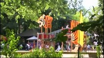 Alles neu : Tierpark Hamm ( Tiere, Zoo,Hamm)  Imagefilm, Tigers train to fight