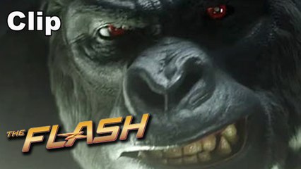 The Flash - Grodd (Clip) [Full HD] (DC Comics)