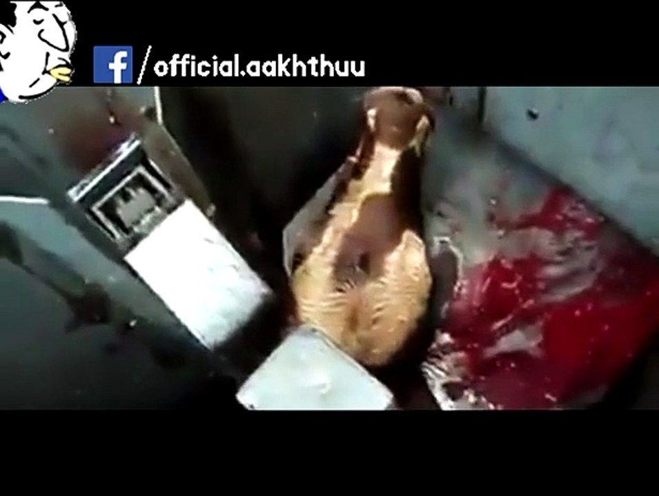 Avoid eating out or make sure you are eating Halal - O'Seriously-_2