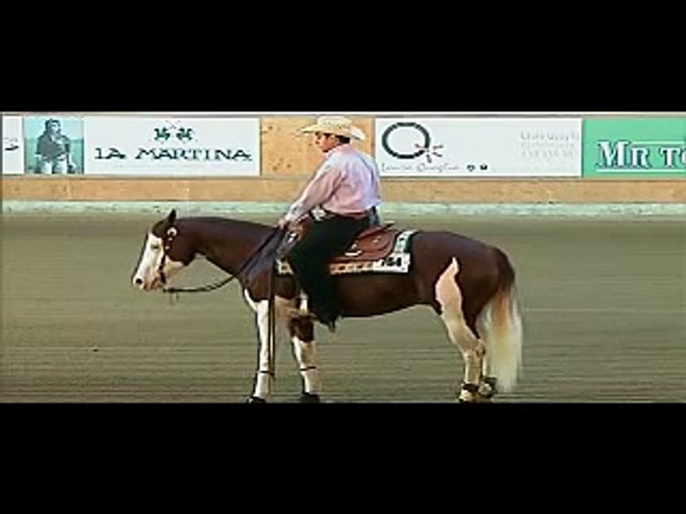 REINING ONE GUN (GUNNER) - MANERBIO