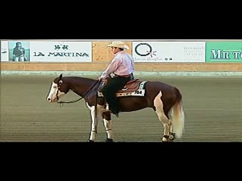 REINING ONE GUN (GUNNER) - MANERBIO