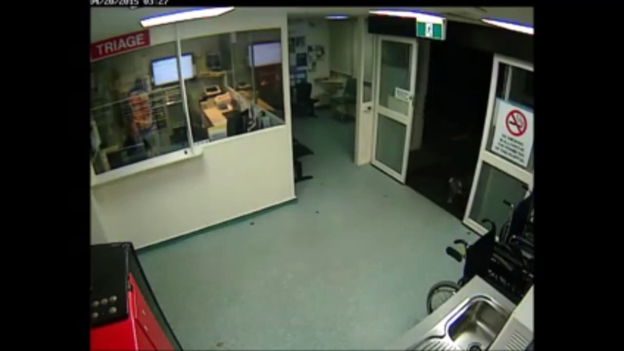 Caught on Camera: Koala Bear Walks Into Hospital
