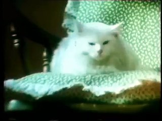 ANKARA ZERDALİTEPE KOMBİ SERVİSİ 279 15 16 _. ,EMKO