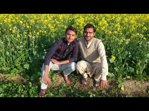 dill aj kal meri sunta nahi