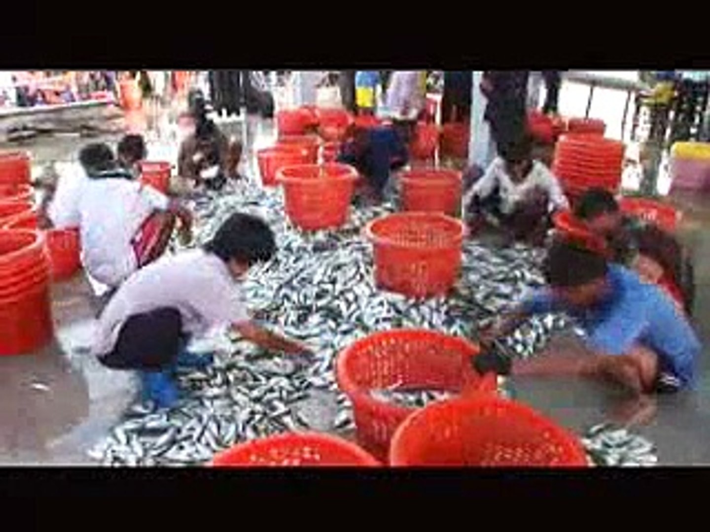 Thailand Trip