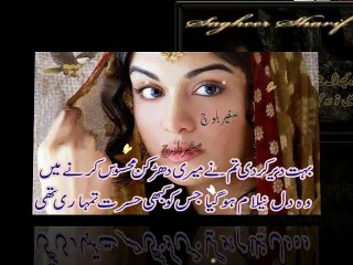 Ja bewafa tere pyar ki zaroorat nhi