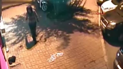 Yavru Kedileri Öldüren Kadına "Hastanede 3 Hafta Gözetim" Kararı