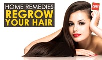 How To Regrow Your Hair - Home Remedy | Health Tips