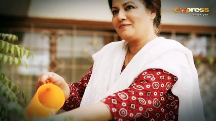 Express Entertainment New Drama Comming Soon