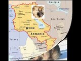 Caucasian Mountain Dog ( Armenian dog)