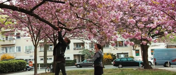 Glück HD Trailer deutsch/german (2012)