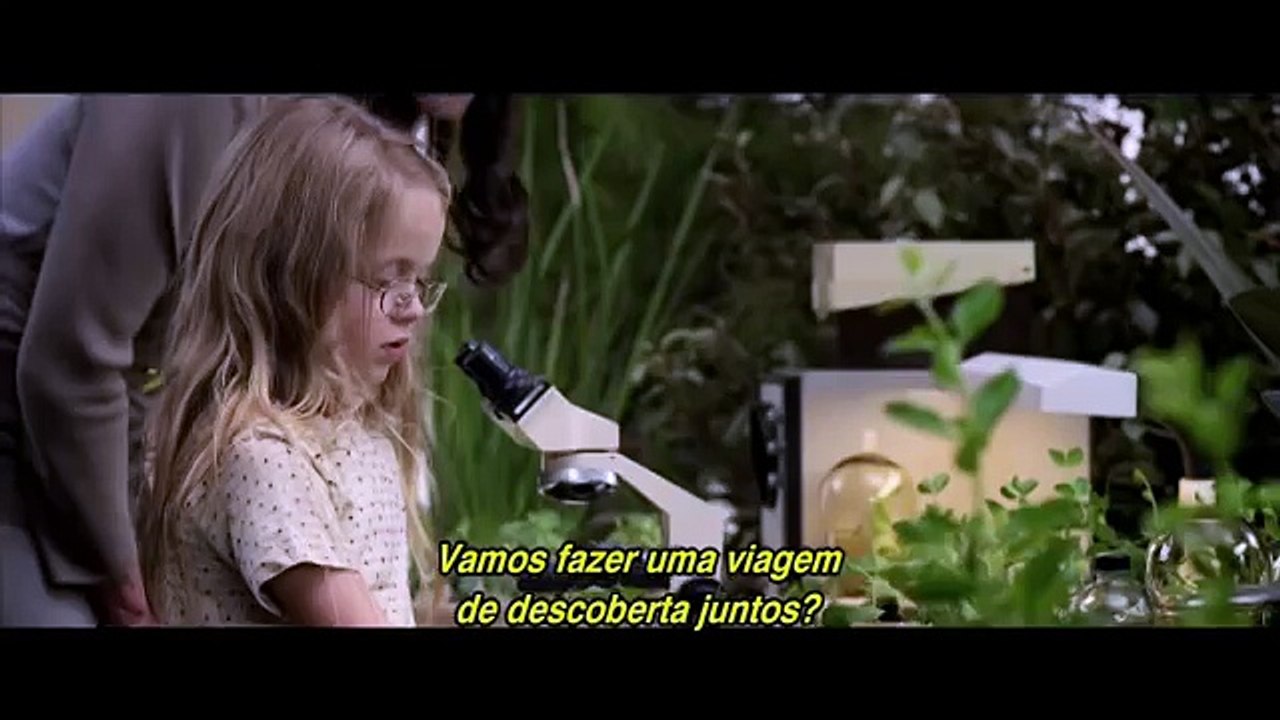 SEM GRAVIDADE… SEM CÉREBRO…