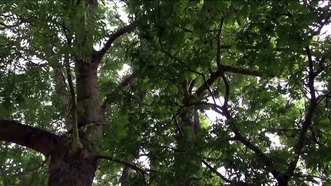 Paradise / Le Paradis (2014) - Trailer (french version)