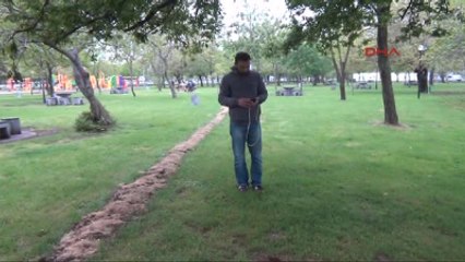 Samsun Her Taşın Altında Babalarını Arıyorlar