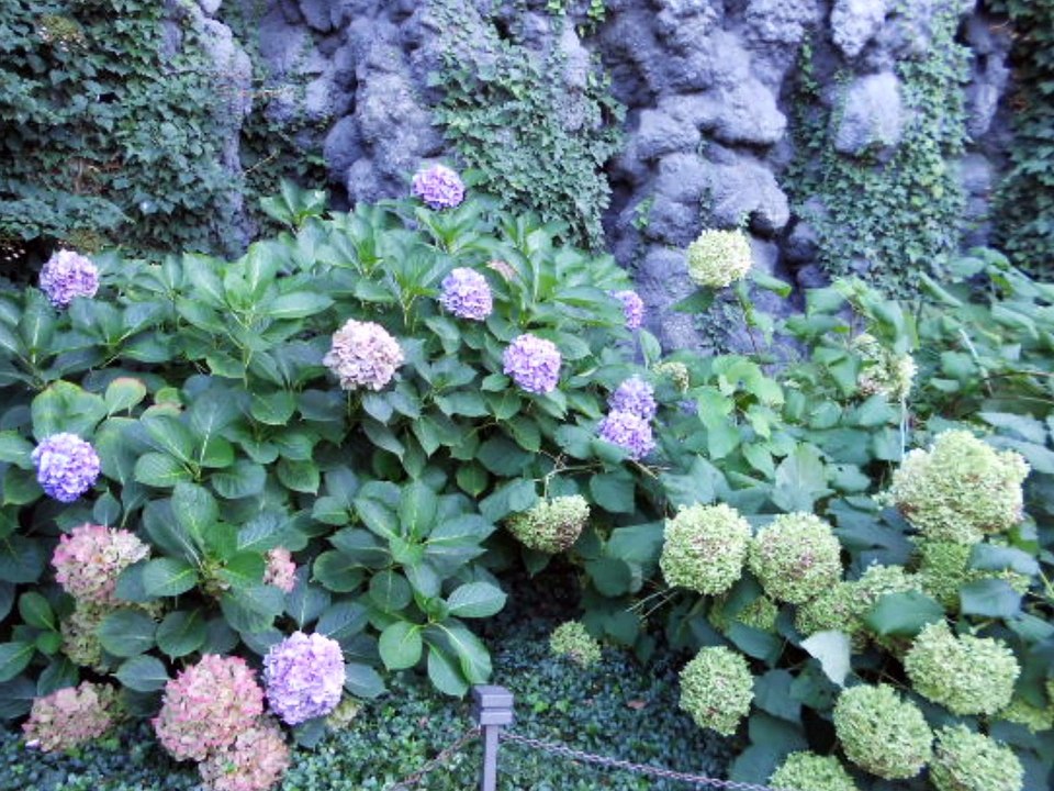 Mon Week-End à Prague ( République Tchèque ) Septembre 2010 !!!!!!!!!!!