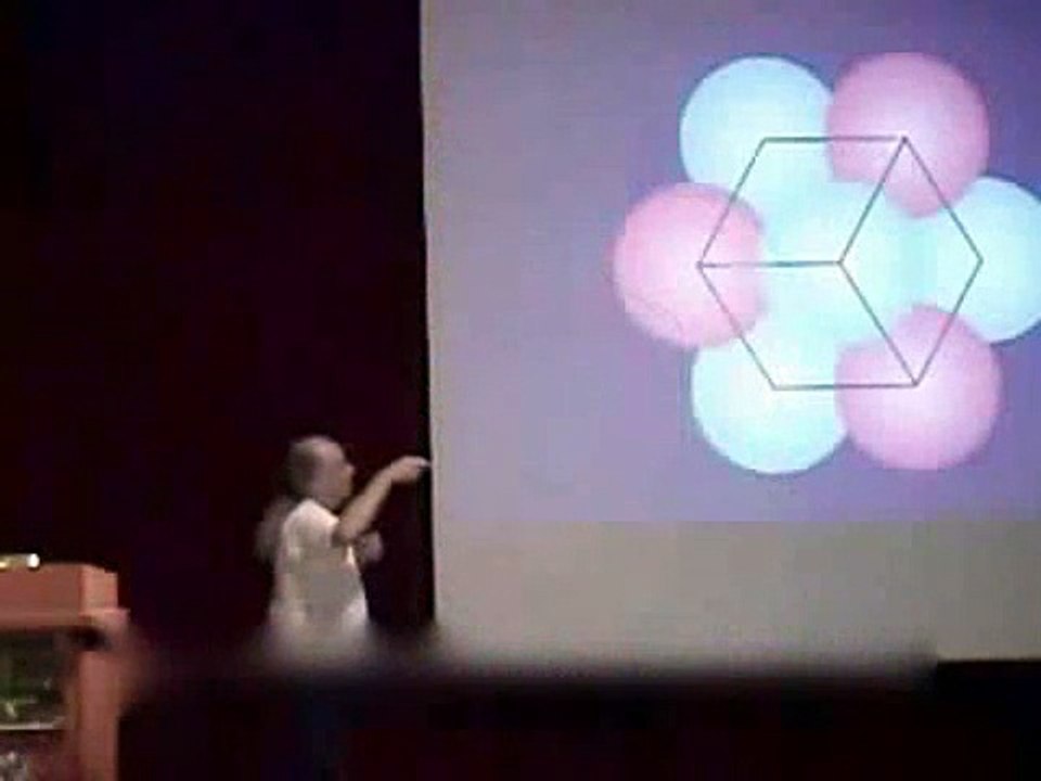 Drunvalo Melchizedek - Geometria Sacra - Omul Vitruvian schita micro&macro cosmosului 05/19