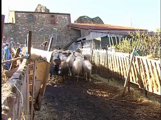 Clip Eleveurs P.O. bout a bout