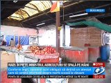 LEGEA PIETELOR GOLESTE TARABELE DE PRODUCATORI. Ministrul agriculturii se spala pe maini