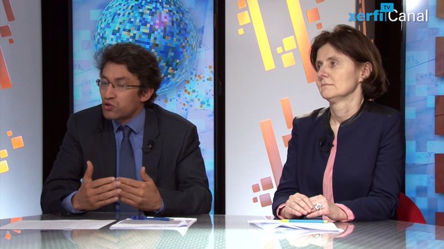 Xavier Ragot et Agnès Benassy-Quéré, Xerfi Canal Améliorer le pilotage macroéconomique en zone euro