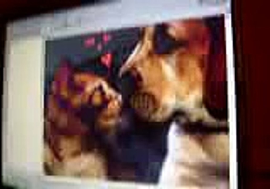 puppy kissing kitten