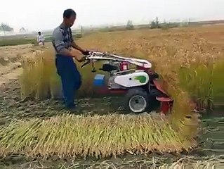 Excellent Grower cutter Machine Amazing Work