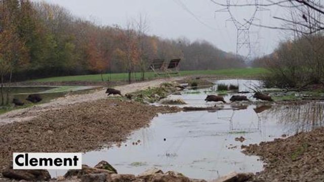 Vos meilleures photos Facebook de mars 2015