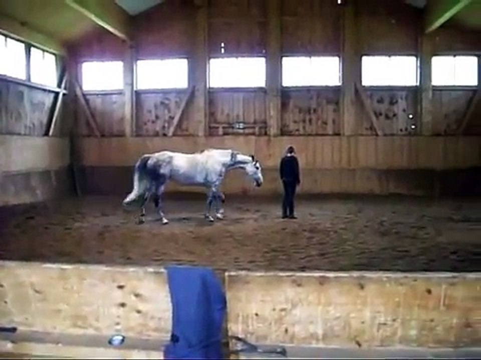 Mein Pferd & ich, unsere Geschichte