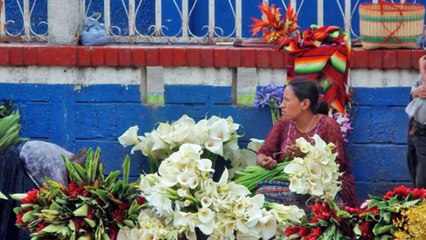 canto a mi Guatemala del cantautor guatemalteco  José Ernesto Monzón