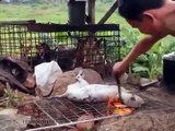 ✦CAMBODIA:CRUEL BARBECUE OF DOGS IN FRONT OF CAGED DOGS✦