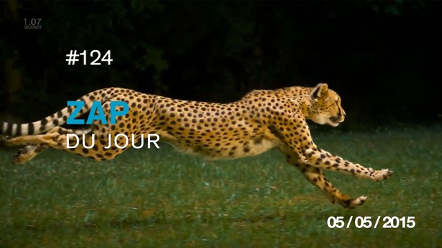 ZAP DU JOUR #124 : Super Star Destroyer LEGO détruit à 1000 images par seconde / Chatouiller des barbus /