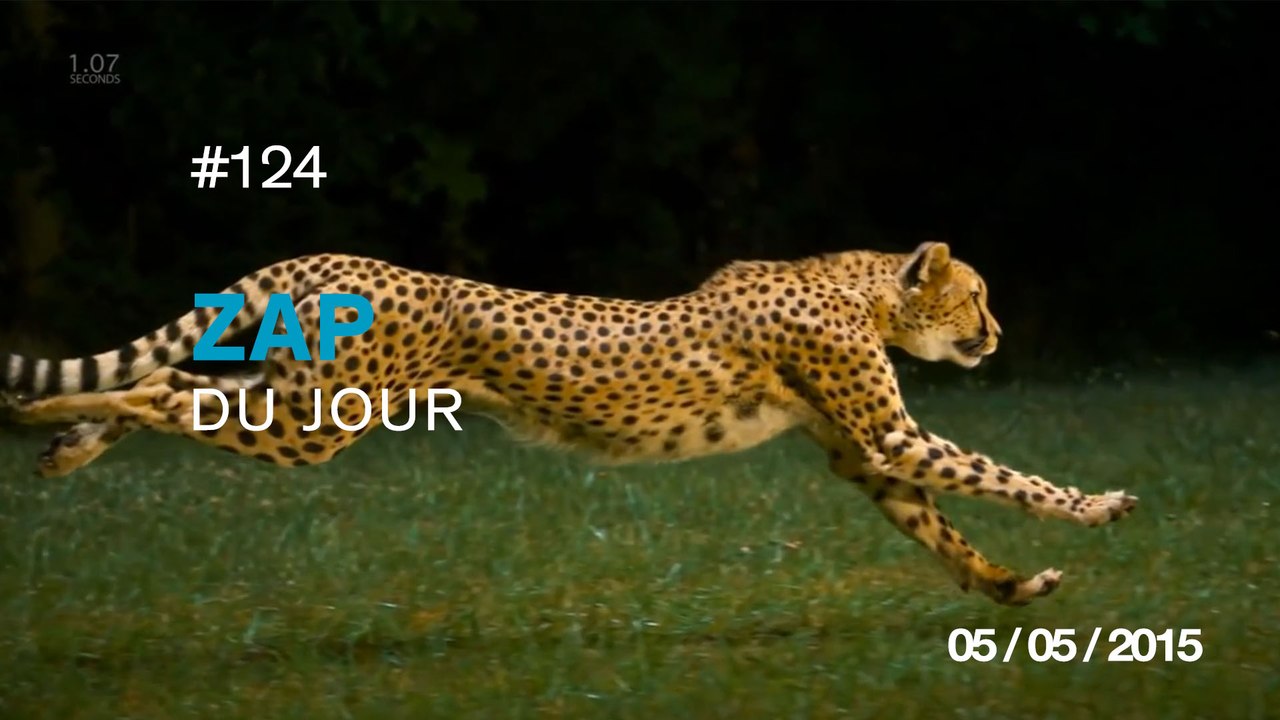 ZAP DU JOUR #124 : Super Star Destroyer LEGO détruit à 1000 images par seconde / Chatouiller des barbus /