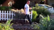 Learn to Train TGD Way: Pitbull Mix Leash Pulling Resolved In One Dog Training Session