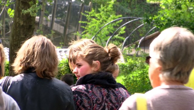 Le zoo de Lille fait peau neuve