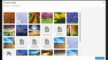 How to create a WordPress photo & video grid gallery