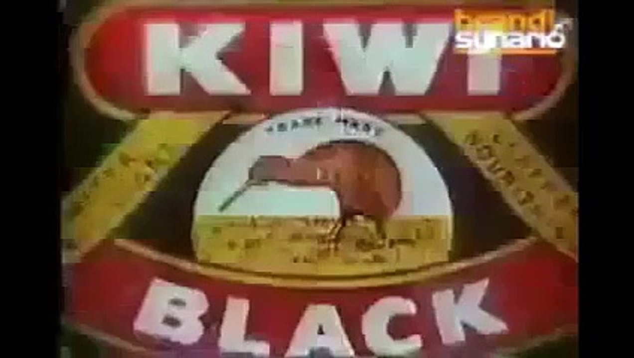 Kiwi Shoe Polish