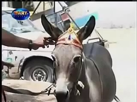 Pakistani Funny very Hot Video 1) New Funny Clips Pakistani?syndication=228326