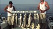 Salmon Trout Fishing Lake Ontario 2011 with ReelSilver Charters