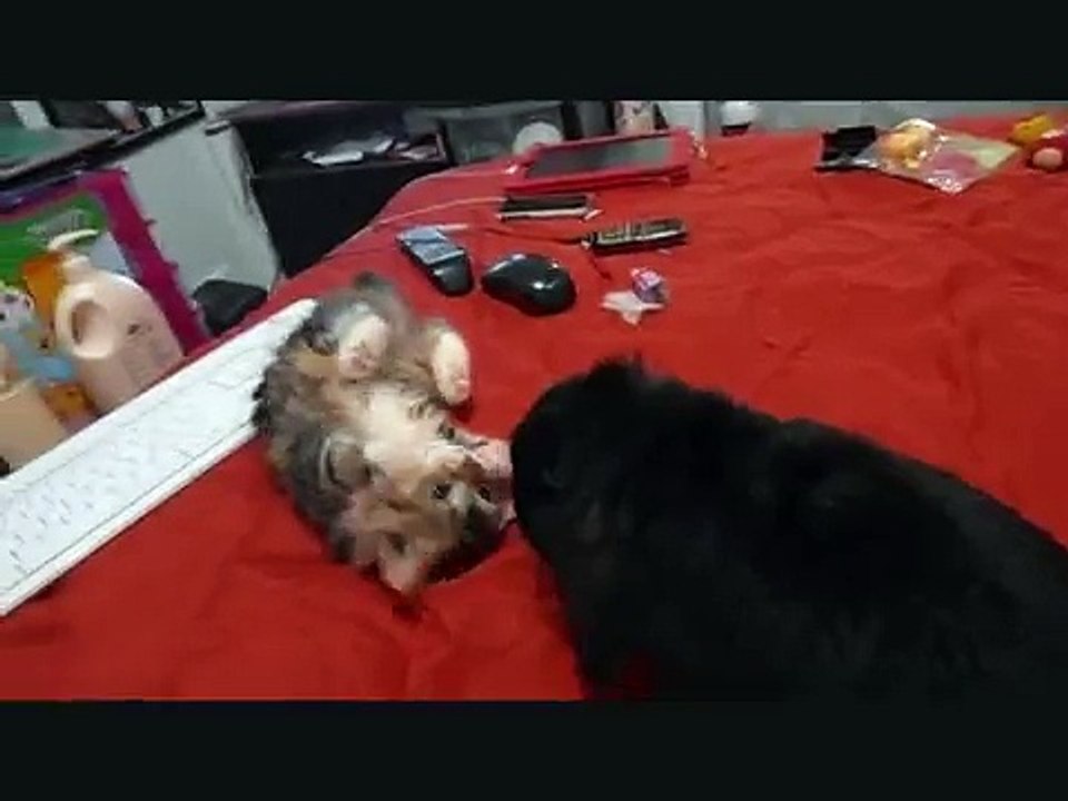 Yumi & Tofu