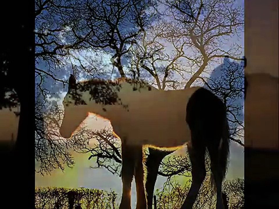 Man from snowy river, Jessica's theme