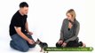 Dog Training Tips: How To Train A Puppy To Sit