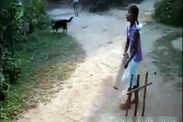 Dog Playing Cricket