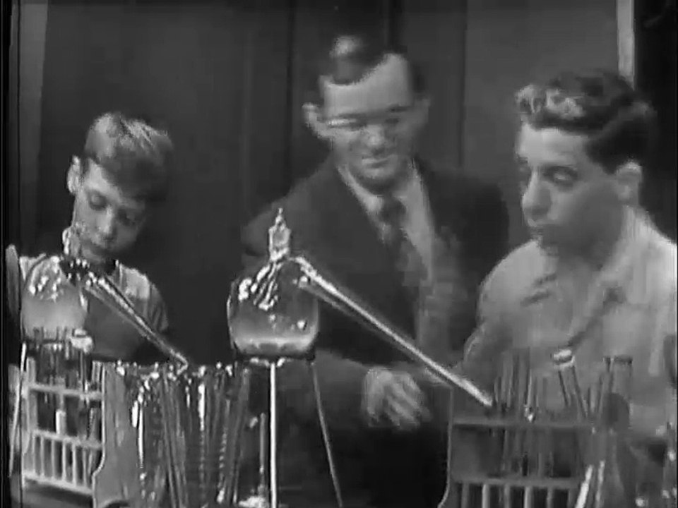 Mr. Peepers Season 1 Episode 9 The Delinquent video Dailymotion