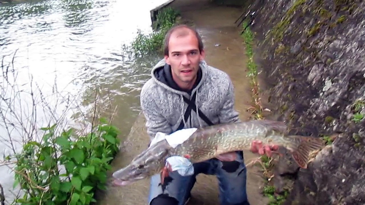 BROCHET 95CM le 2 Mai 2015 (2) Remise à l'eau.