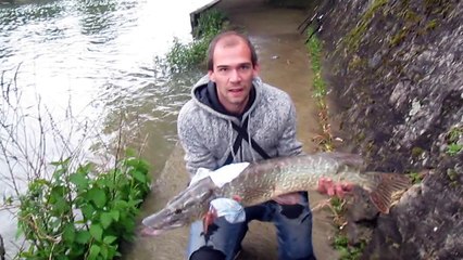 BROCHET 95CM le 2 Mai 2015 (2) Remise à l'eau.