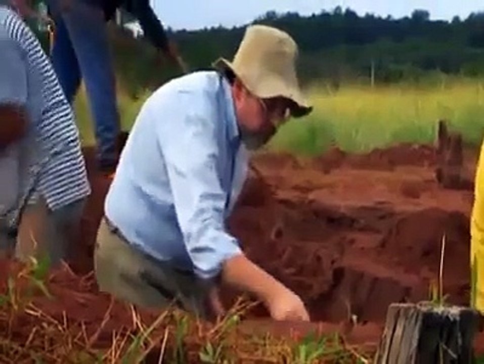 Ant Hill