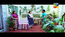 Sartaaj Mera Tu Raaj Mera Episode 42 Full Hum Tv Drama May 5, 2015