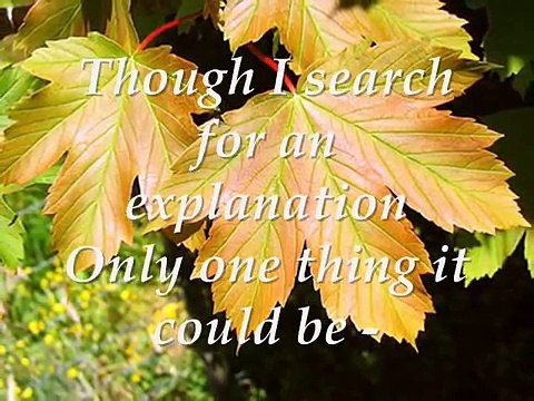 born for you david pomeranz with Lyrics